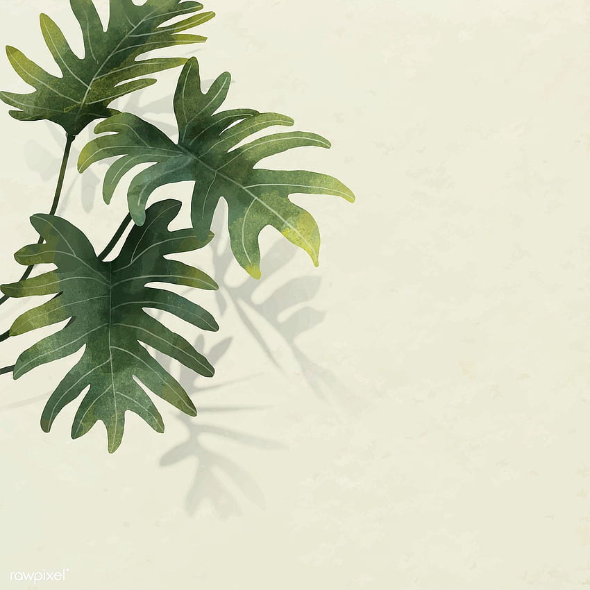 vector premium del patrón de hoja de Philodendron radiatum en beige. de hoja tropical, de hoja, Patrón de vectorial fondo de pantalla del teléfono