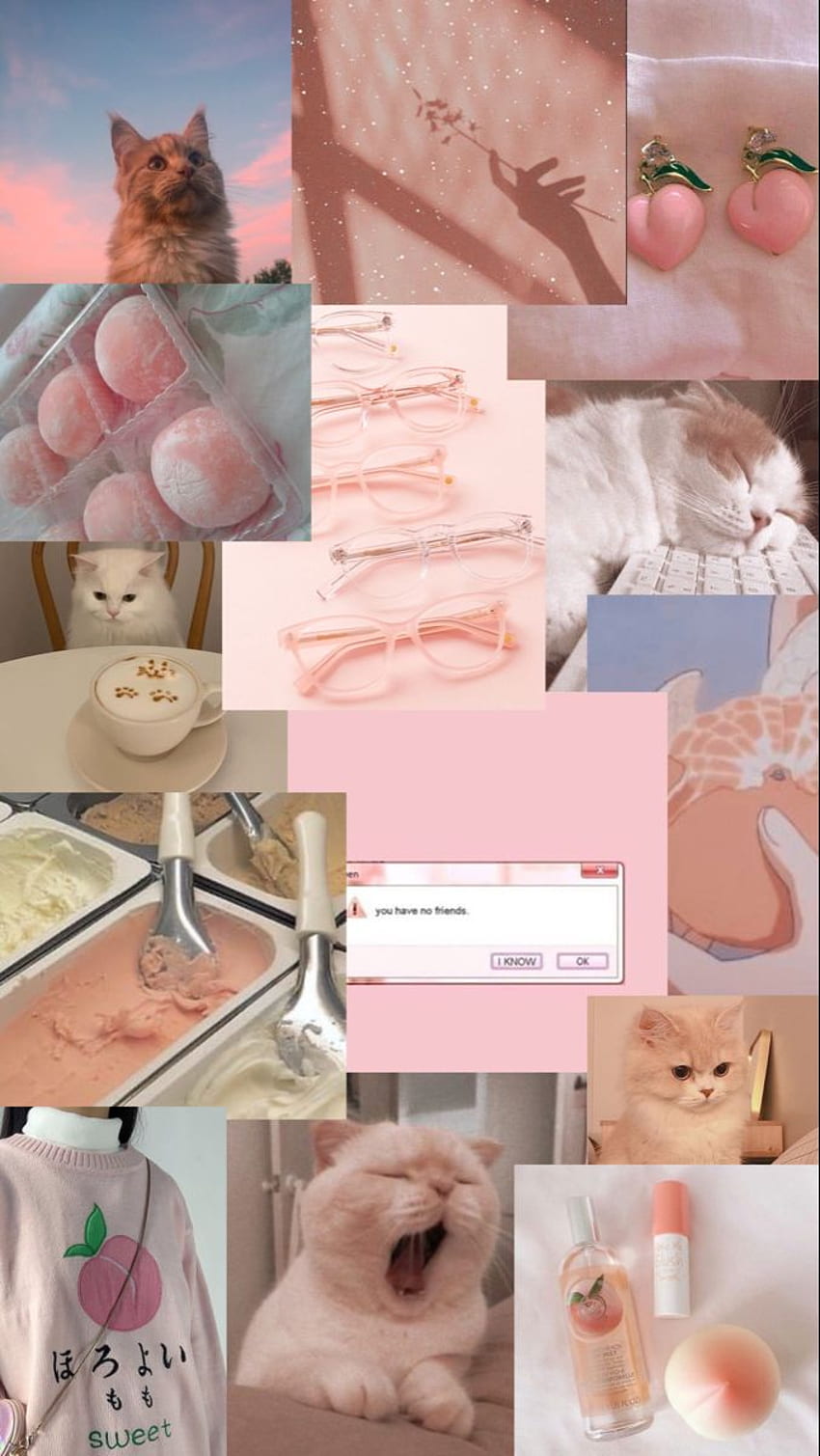 Gatto estetico, Cat Collage Sfondo del telefono HD