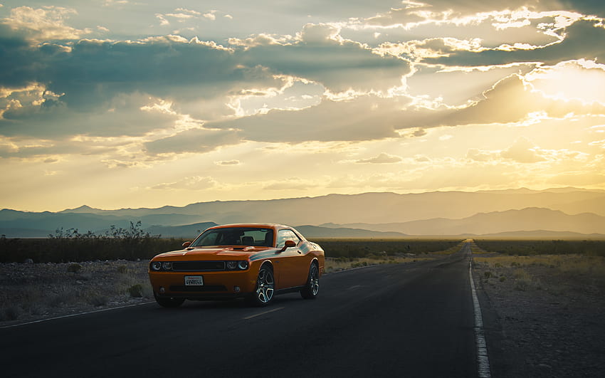 Challenger, Cars, Road, Side View, Dodge HD wallpaper