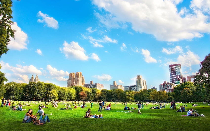 Central Park, Musim Panas NYC Wallpaper HD