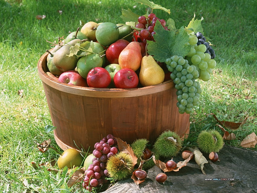 cesta de frutas, vegetais, cesta, uva, frutas, maçã, comida papel de parede HD