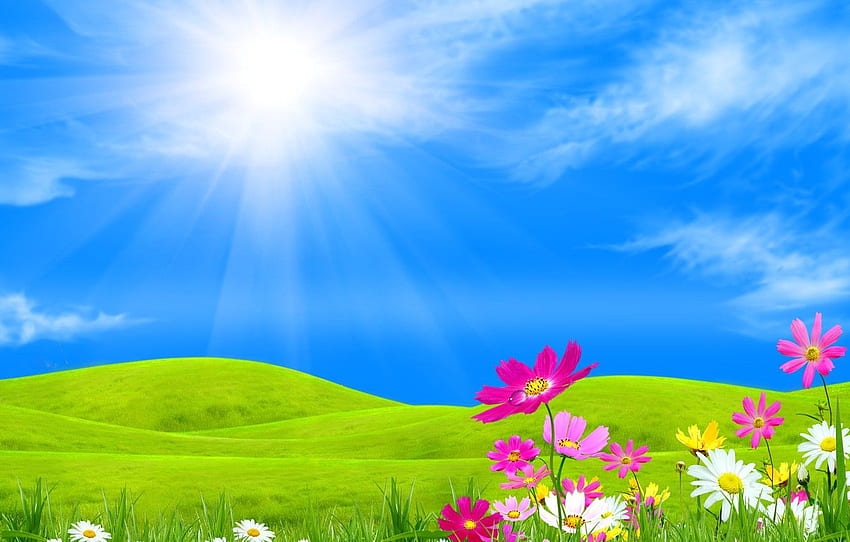 the sky, grass, the sun, clouds, rays, flowers, hills, collage, kosmeya for , section природа HD wallpaper