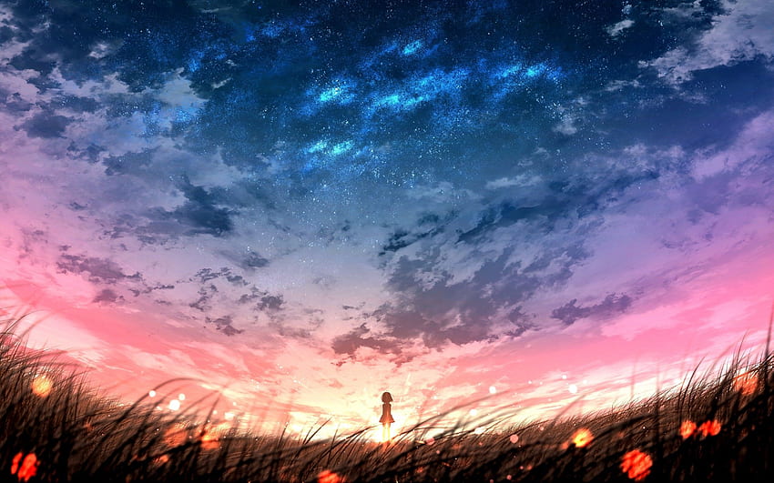 Anime Landscape, Sunset, Plants, Field, Sky, Anime Girl, Scenic para MacBook Pro de 13 pulgadas, Anime 2560x1600 fondo de pantalla
