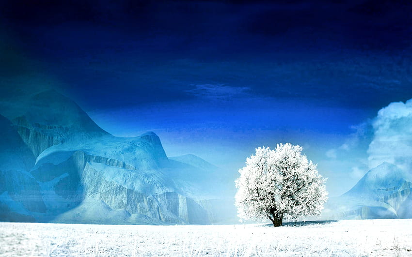 Árvore Solitária Azul Branca Neve Inverno Data Src Neve Ponta da árvore papel de parede HD