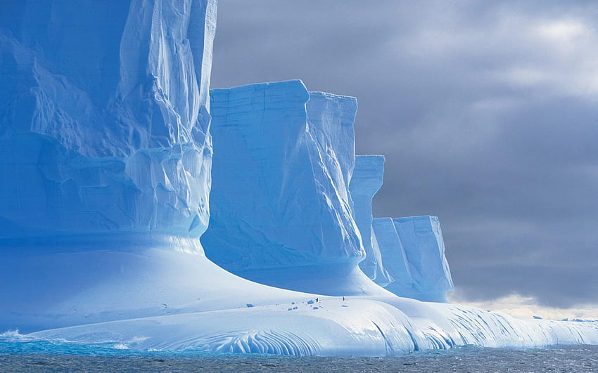 อาร์กติก, อาร์กติก วอลล์เปเปอร์ HD