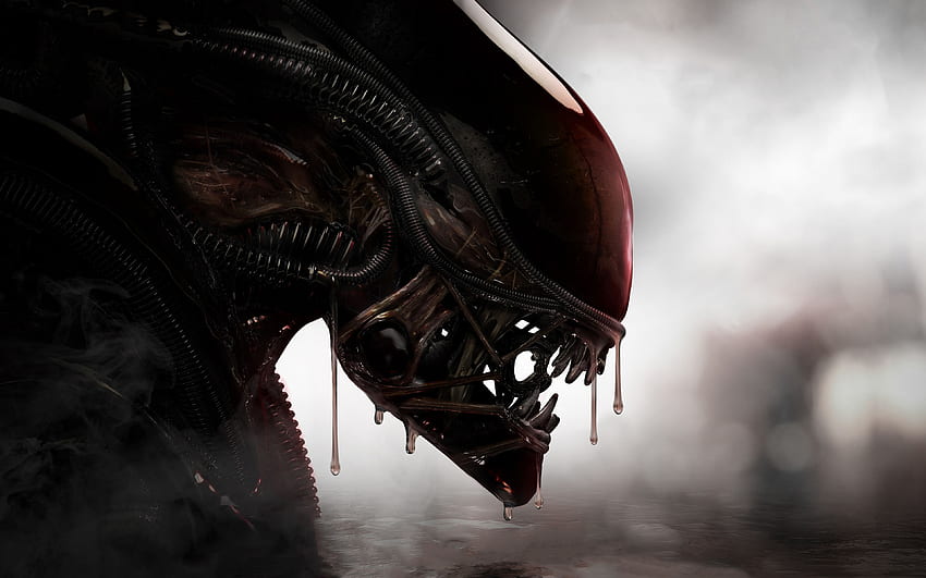 Movies predators Aliens wallpaper, 1920x1080, 181756