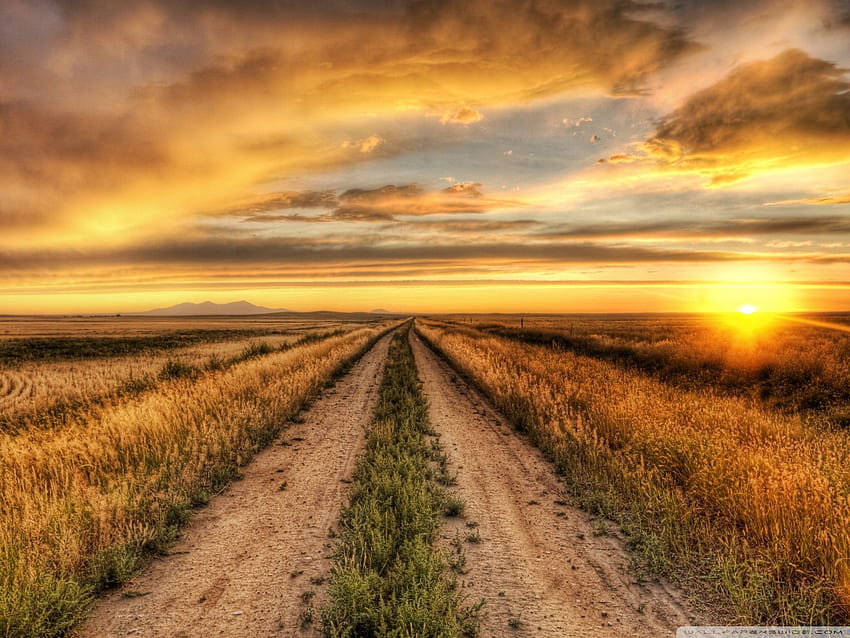 Country Dirt Road Sunset (Halaman 1), Gravel Road Wallpaper HD