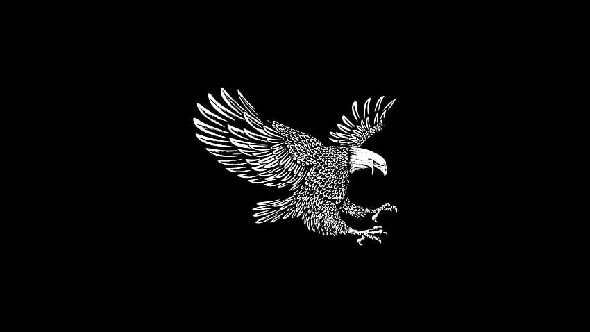 Eagle, wings, flight, black background, art, Eagle Black and White HD wallpaper