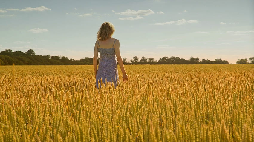 Woman hand touching wheat field. Woman walking away in field wheat. Agriculture land. Alone woman in harvest field. Loneliness in nature Stock Video Footage HD wallpaper