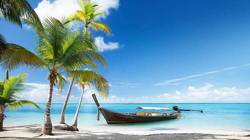 Thailand, beach, palms trees, sea, boat U , Thailand Sea HD wallpaper
