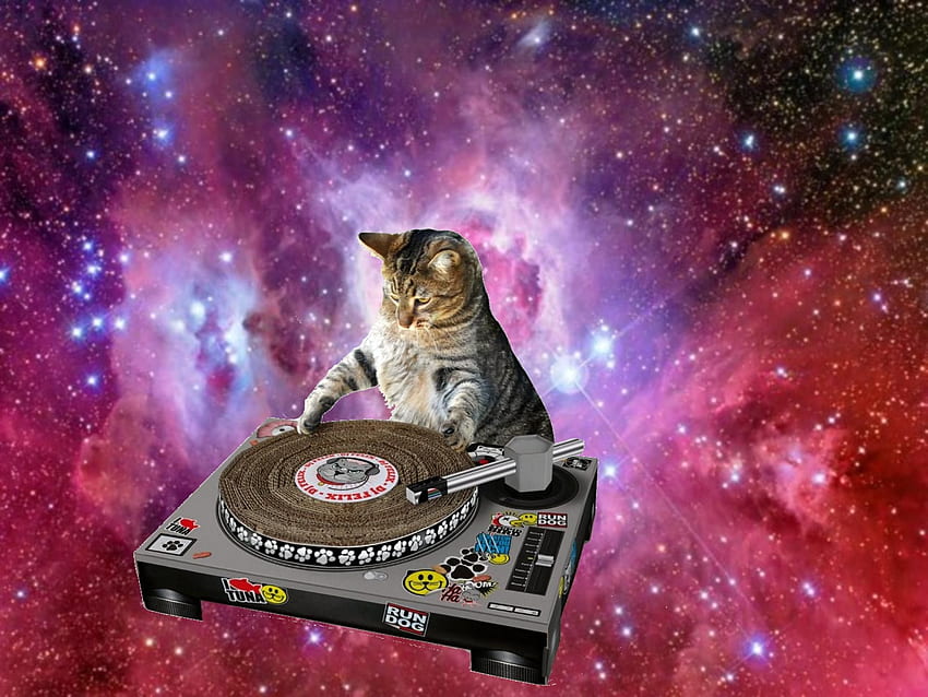 Trippy Cat, Hipster Cat HD wallpaper