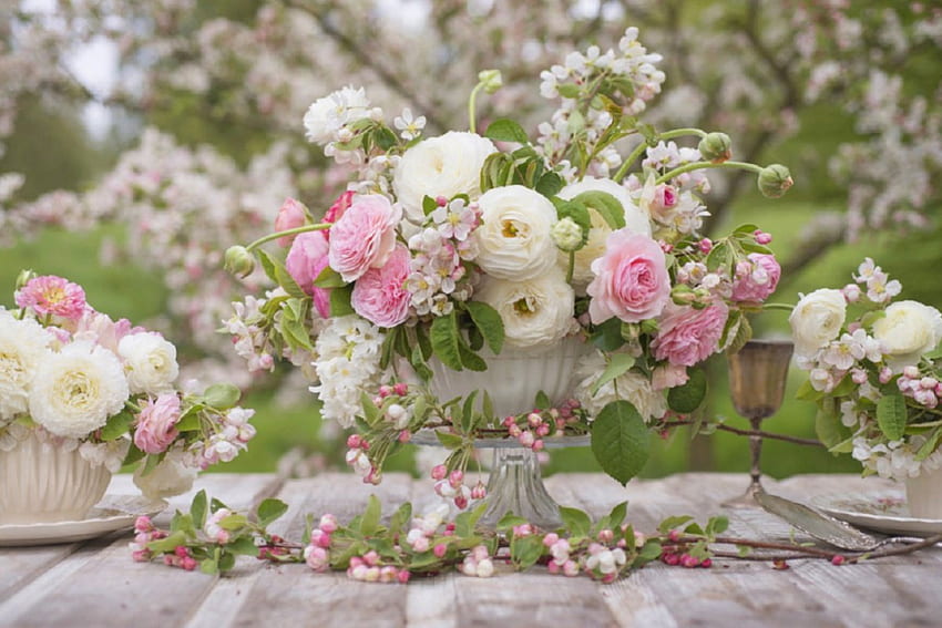 Apple blosoms and roses, still life, apple blossoms, roses, garden, nature, spring HD wallpaper