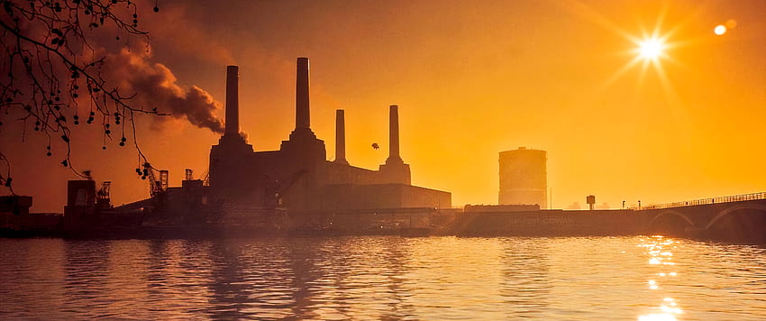 Pink Floyd - Tiere, Sonnenuntergang in Orange, 3440 x 1440 Tier HD-Hintergrundbild
