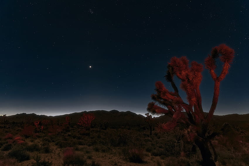 Stellar Mojave Night Full, Mojave Desert HD wallpaper
