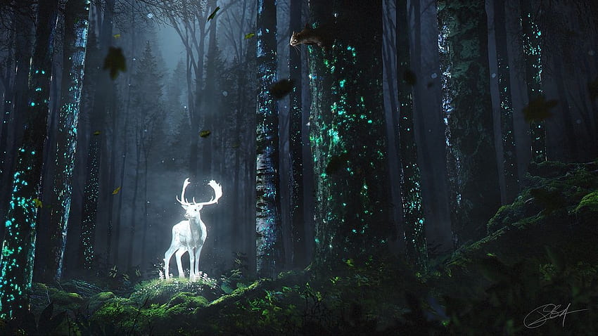 cervo foresta notte bagliore arte erba alberi foglie. arte, harry potter, di Harry potter, Patronus di Harry Potter Sfondo HD