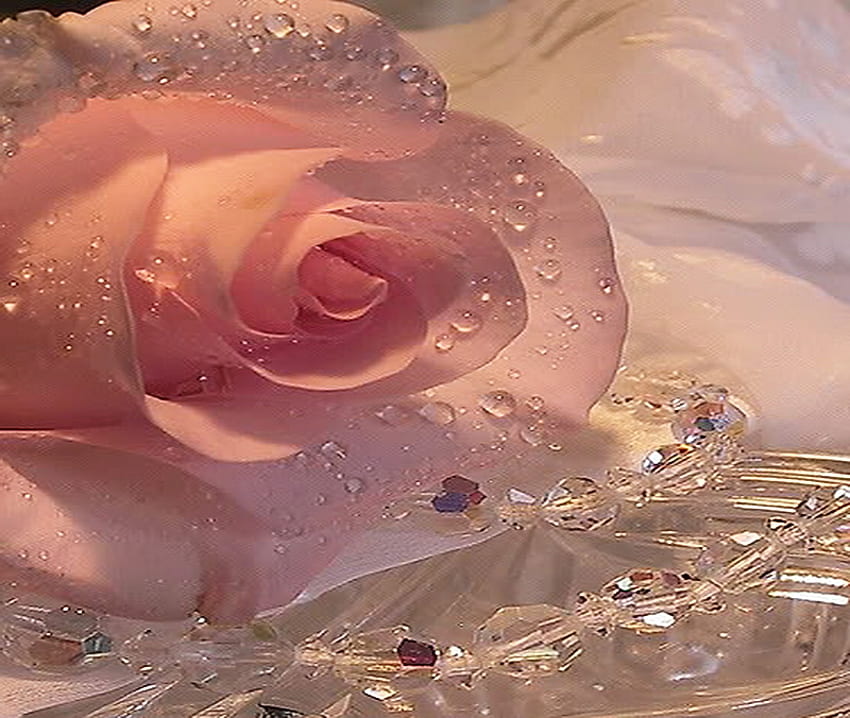 Crystals and a rose, rose, pink, crystals, light, flower, sparkle HD wallpaper