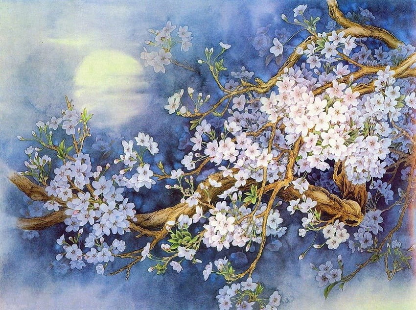 Cherry Blossom, azul, floral, beleza, pintura, lua, pétalas, flor, nuvem, Flor, doce, branco, arte, bonita, Sakura, pintura, céu, Flor de sakura, adorável papel de parede HD