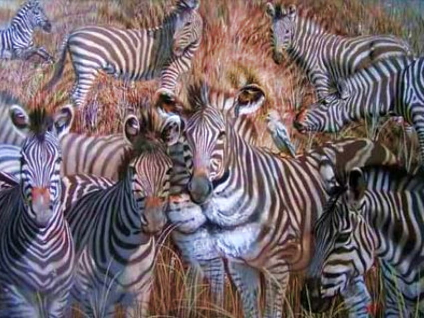 Singa Tersembunyi Di Zebra, keren Wallpaper HD