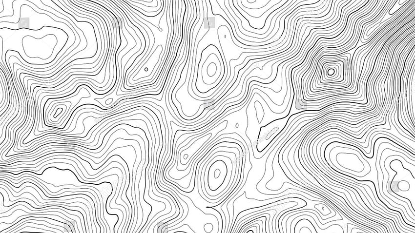 Vector contour topographic map background Topography and [] for your , Mobile & Tablet. Explore Topography Background HD wallpaper