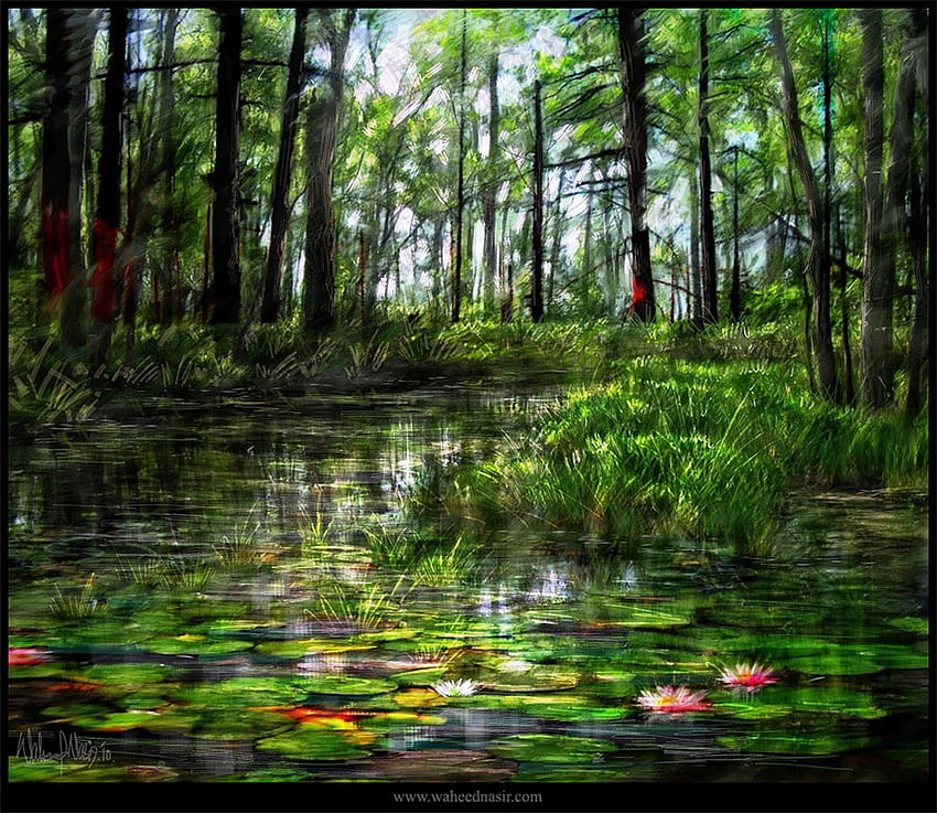 Lilien des Sees, blauer Himmel, rosa, grün, Bäume, Seerosenblätter, Wasser, Wald, Lilien HD-Hintergrundbild