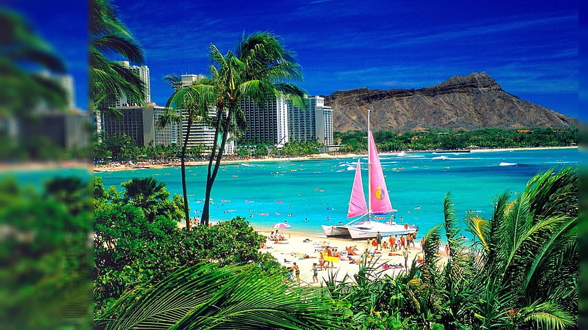 Hawaii Background, Hawaiian Christmas HD wallpaper