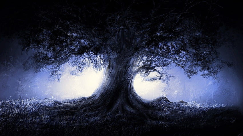 Кара ме да мисля за фари. Тъмно дърво, готика, синьо дърво, готически пейзаж HD тапет