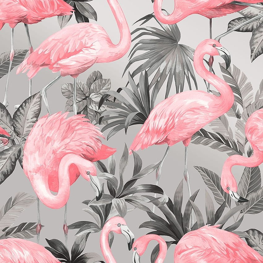 Flamingo Pink Soft Grey - Flamingo Pink, Cartoon Flamingo HD phone wallpaper