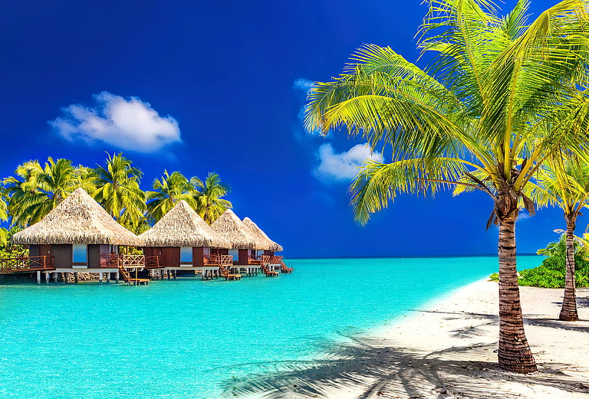 Overwater bungalows, sea, palms, bungalow, tropics, exotic, paradise, beautiful, vacation, beach, summer, rest, sands, sky, water, ocean HD wallpaper