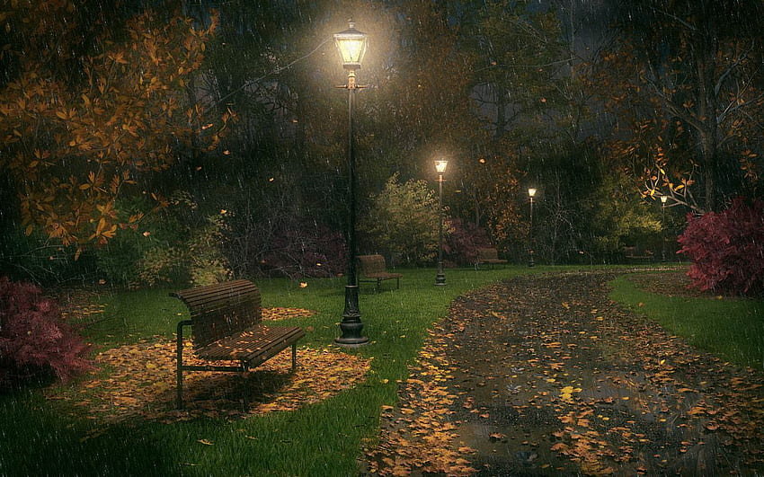 TheWisenedCrone La Scuola on Mostly Fall. Autumn night, Autumn trees, Rainy night, Autumn Evening HD wallpaper