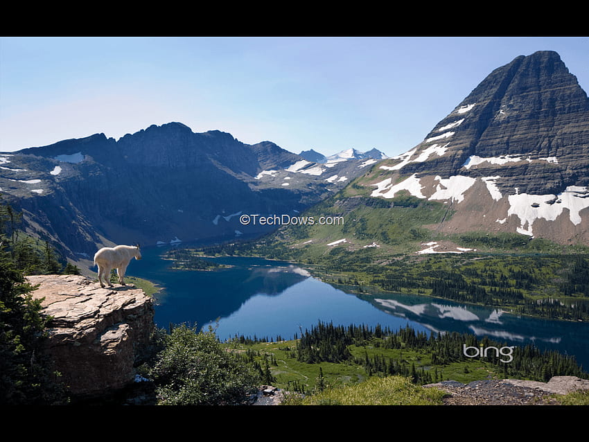 Microsoft Bing Wallpaper là một thế giới ảo đầy màu sắc, lãng mạn và cảm xúc. Bạn sẽ được chiêm ngưỡng những bức tranh tuyệt đẹp của vật thể, địa điểm, con người và nhiều chủ đề khác. Cùng Microsoft Bing Wallpaper khám phá thế giới qua ảnh đẹp.