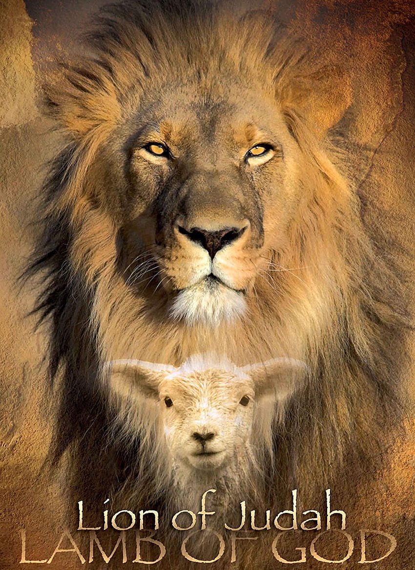 Desgin Studio20 Lion Of Judah Lamb Of God Poster A3 HD phone wallpaper