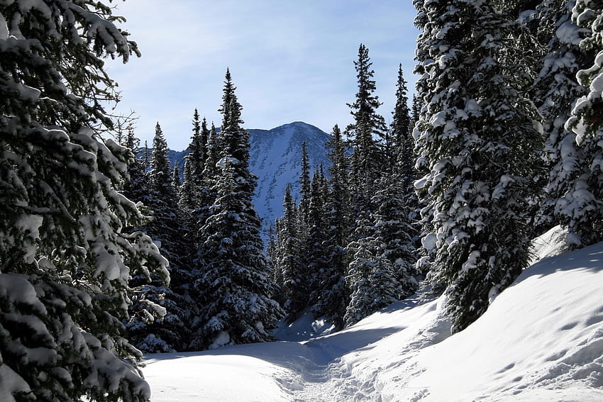 Invierno, Naturaleza, Árboles, Cielo, Montañas, Nieve, Bosque, Ate, Colorado fondo de pantalla