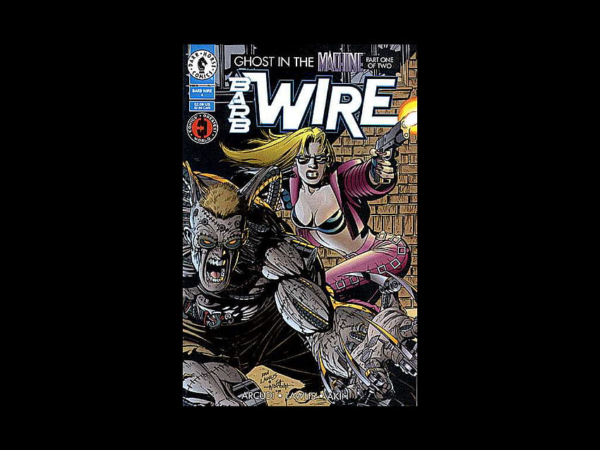 Barb Wire, wire, fantasy, comic, barb, female HD wallpaper