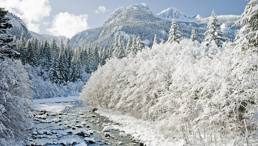 Foresta invernale, fiume, inverno, bianco, ghiacciato, freddo, montagna, giorno, natura, cielo, acqua, foresta, ze Sfondo HD
