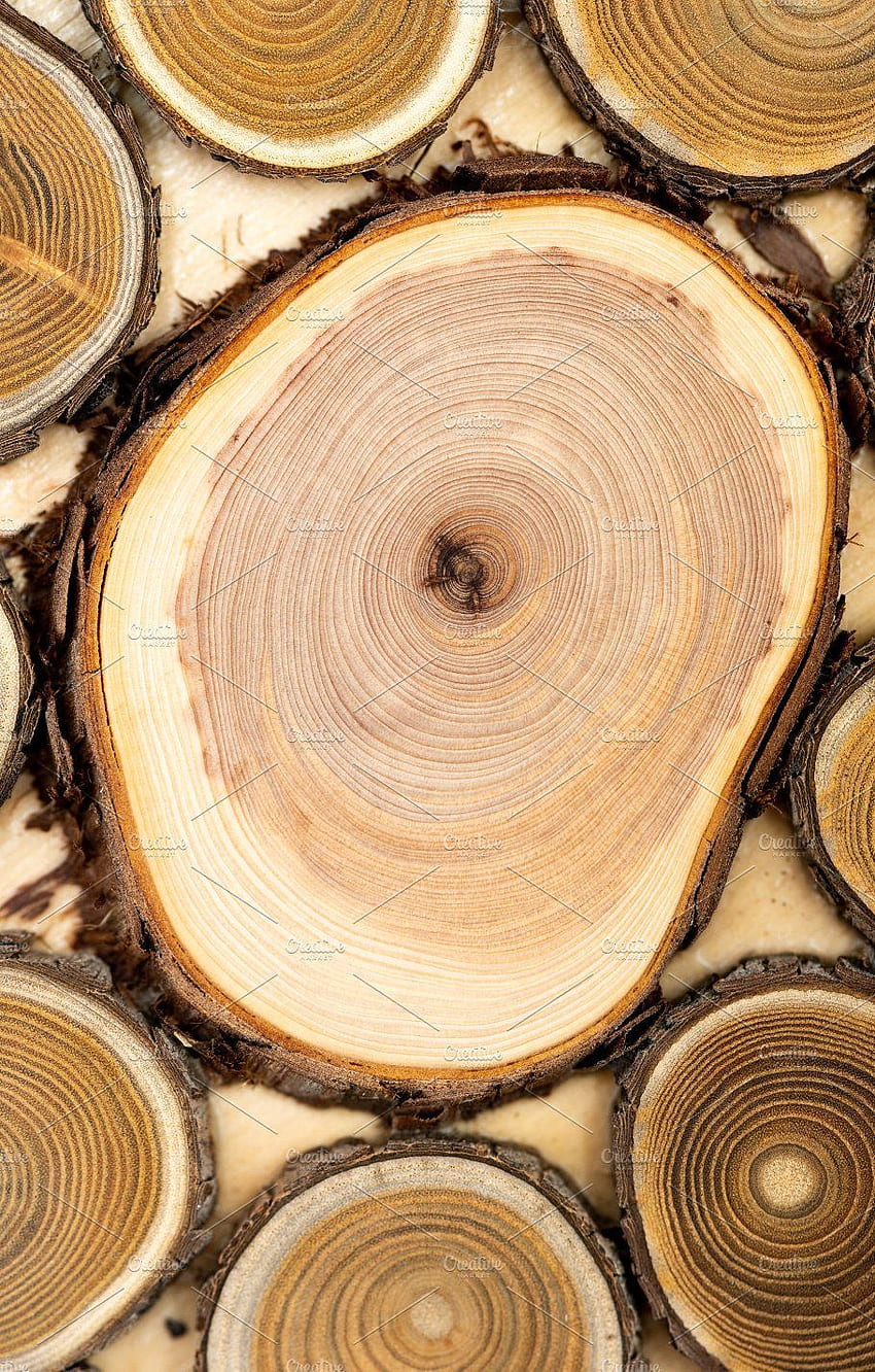 Core of juniper and sandalwood. Sandalwood, Fractals in nature, Wood logo HD phone wallpaper
