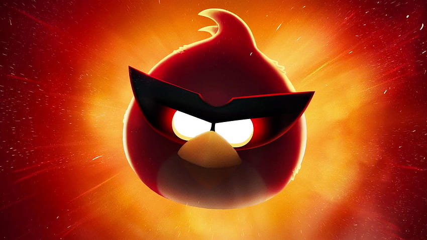 Games, Birds, Angry Birds HD wallpaper