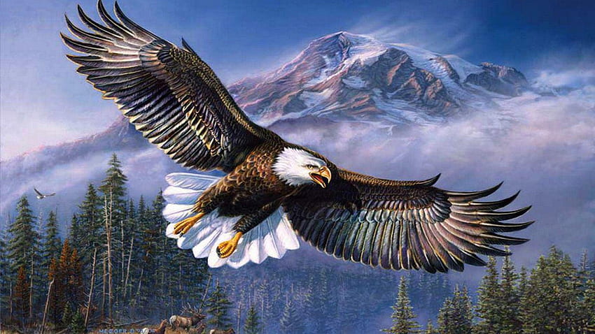 Beautiful Background Bald Eagle In, Flying Dinosaur HD wallpaper