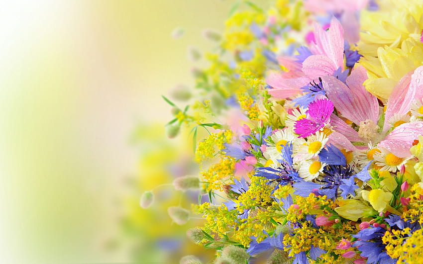 Latar Belakang Bunga Musim Panas yang Cantik (Halaman 1), Bunga Alam Musim Panas Wallpaper HD