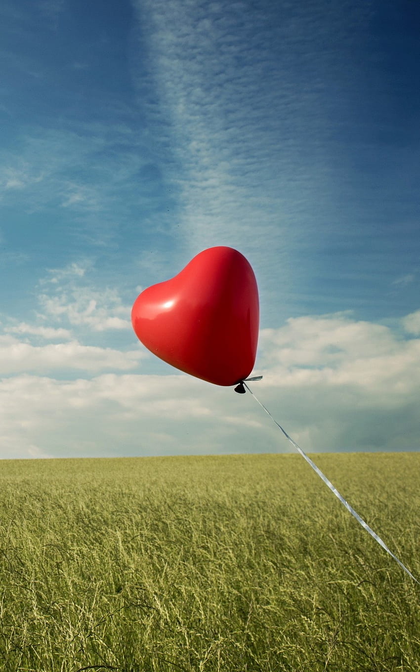 Red Heart Balloon Green Grass Android wallpaper ponsel HD