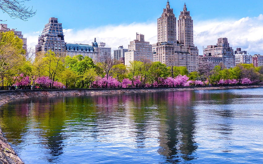 тази страхотна пролет в Ню Йорк HD тапет
