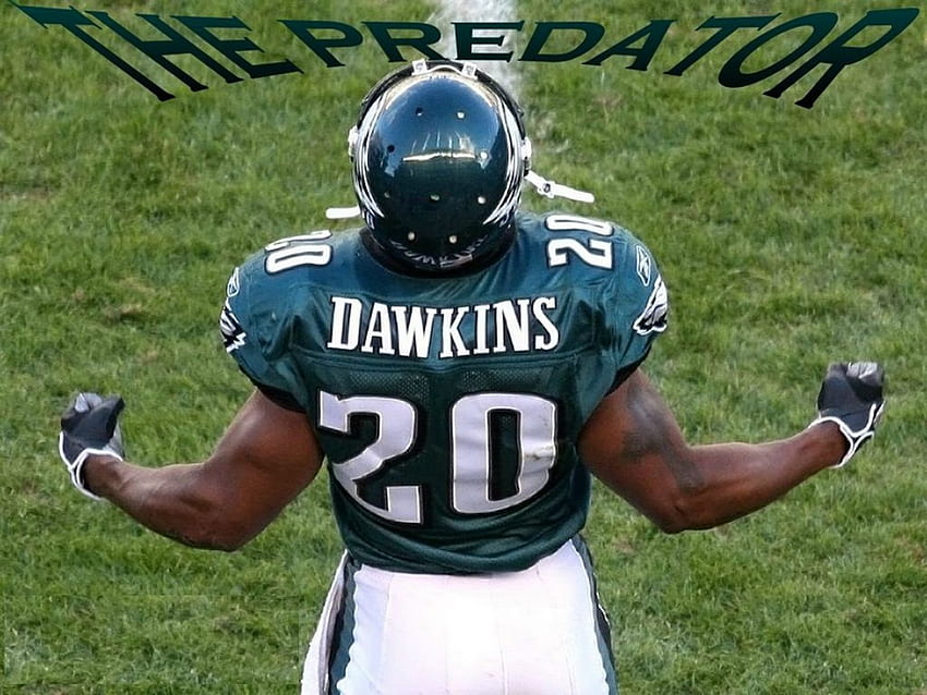 Brian Dawkins Brian Dawkins Eagles HD Wallpaper | Pxfuel