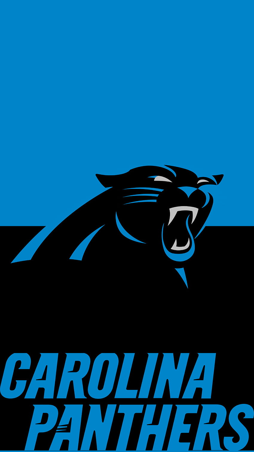 nfl football panthers
