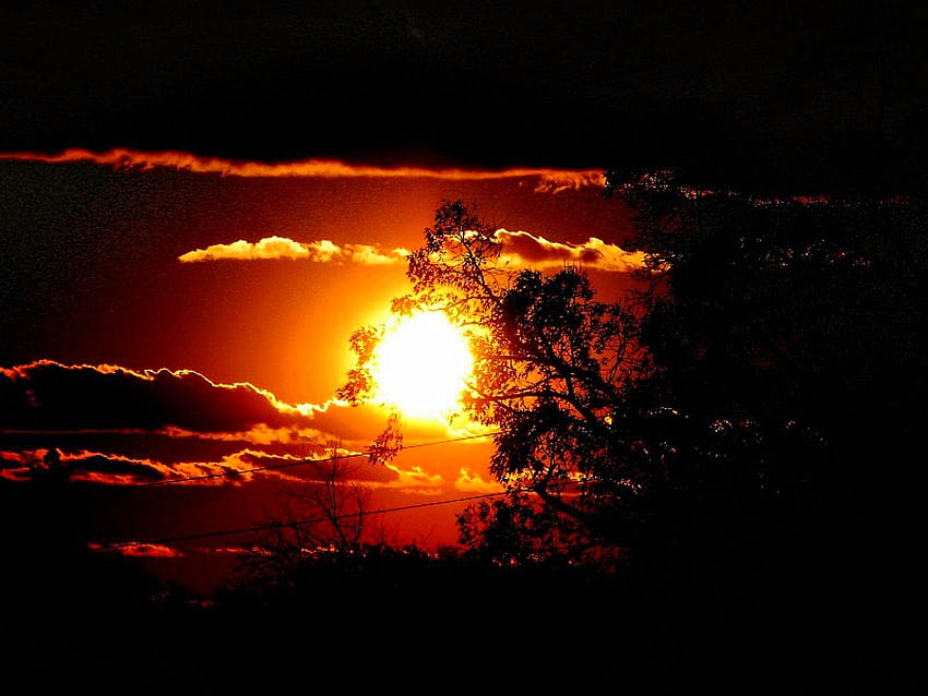 Beautiful Sunset, shadow, clouds, sky, nature, orange, sun, sunset, tree HD wallpaper