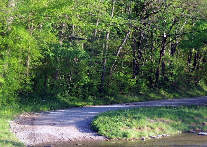 Creek Road, Creek, Tennessee, Road, Nature, Rural HD wallpaper
