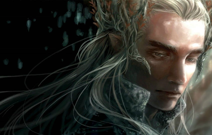 fantasy, elf, art, The Lord of the rings, Thranduil for , section мужчины, The Lord of the Rings Elves HD wallpaper