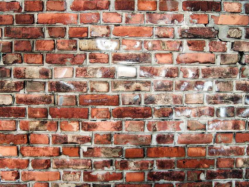 Description Brick wall in Flemish bond jpg 1936 - Cool HD wallpaper