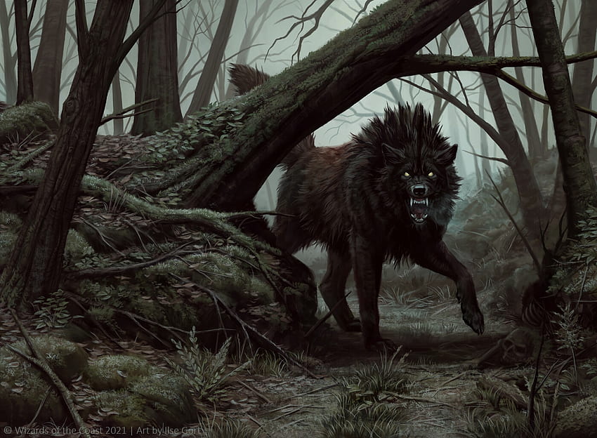 Knurrender Wolf, Halloween, Ilse Gort, Fantasie, Kunst, Werwolf, Wald, Wolf, dunkel HD-Hintergrundbild