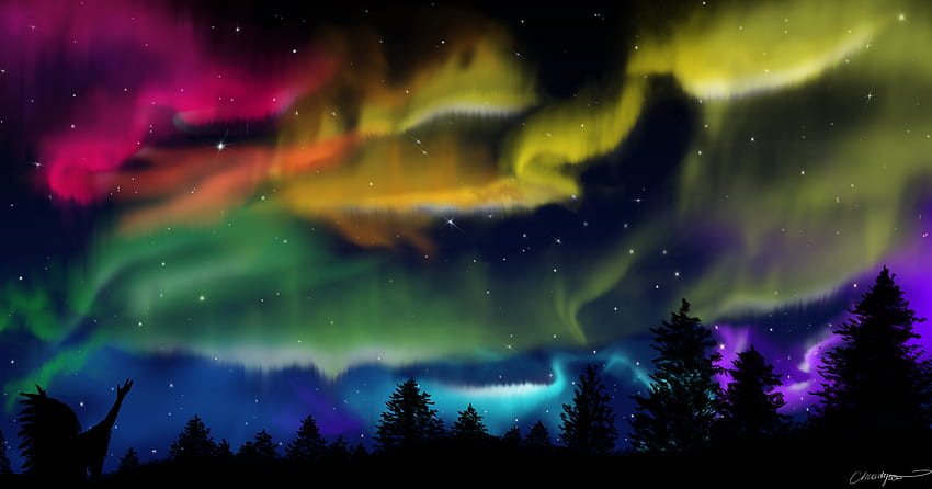 Northern Lights, bosque, colorido, silueta fondo de pantalla