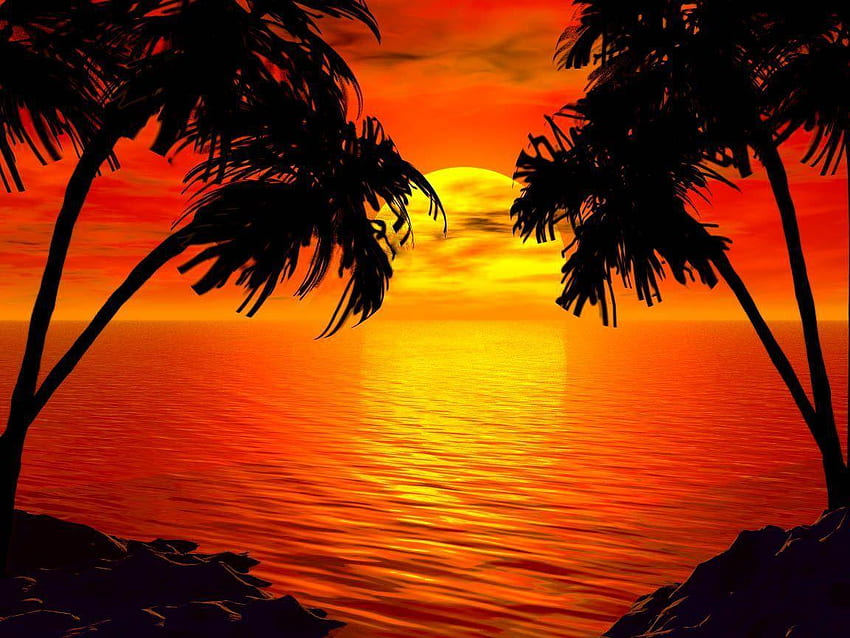 Tropical Island Sunset, Tropical Beach Sunset HD wallpaper
