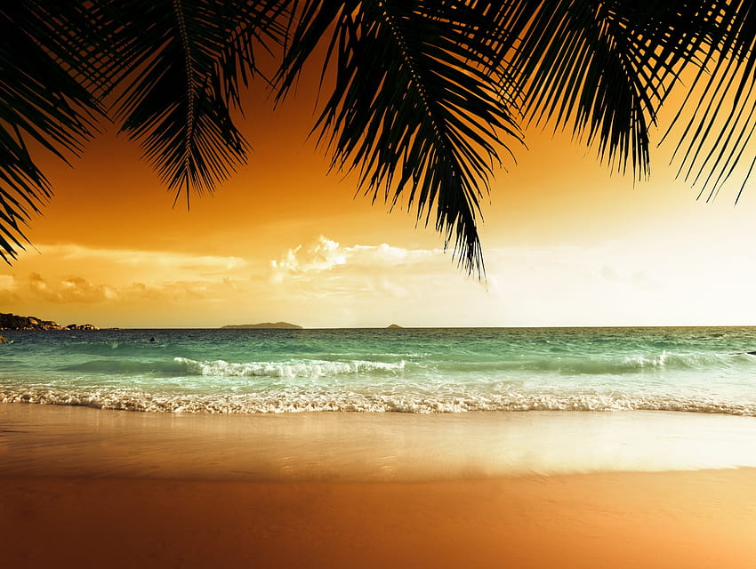 Paraíso Tropical, palmeiras, mar, tropical, pôr do sol, praia papel de parede HD